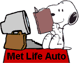 Met Life Auto